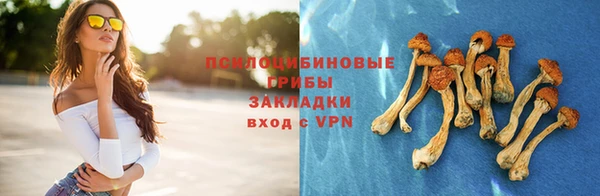 хмурый Заводоуковск