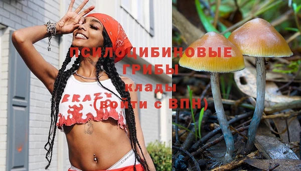 спиды Заволжье