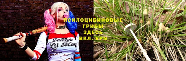 хмурый Заводоуковск