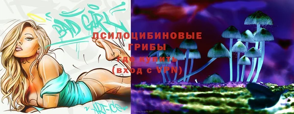 спиды Заволжье