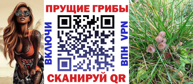 Галлюциногенные грибы прущие грибы  Купить  Зуевка 