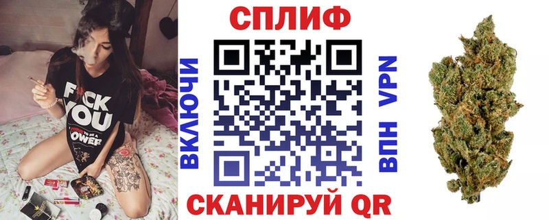 Бошки марихуана гибрид Зуевка